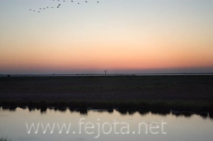 Nombre del archivo=070508_069.jpg
Tamaño del archivo=46Kb
Dimensiones=500x332
Fecha añadida=04 de Noviembre de 11 070508_069.jpg