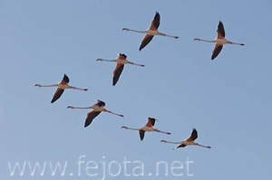 Nombre del archivo=070509_020.jpg
Tamaño del archivo=40Kb
Dimensiones=500x333
Fecha añadida=04 de Noviembre de 11 070509_020.jpg