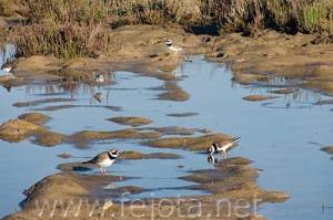 Nombre del archivo=070509_022.jpg
Tamaño del archivo=83Kb
Dimensiones=500x333
Fecha añadida=04 de Noviembre de 11 070509_022.jpg