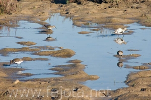 Nombre del archivo=070509_023.jpg
Tamaño del archivo=78Kb
Dimensiones=500x333
Fecha añadida=04 de Noviembre de 11 070509_023.jpg
