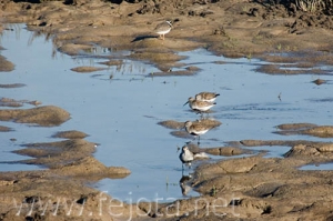 Nombre del archivo=070509_025.jpg
Tamaño del archivo=78Kb
Dimensiones=500x333
Fecha añadida=04 de Noviembre de 11 070509_025.jpg