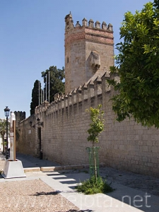 Nombre del archivo=070509_045.jpg
Tamaño del archivo=84Kb
Dimensiones=375x500
Fecha añadida=04 de Noviembre de 11 070509_045.jpg