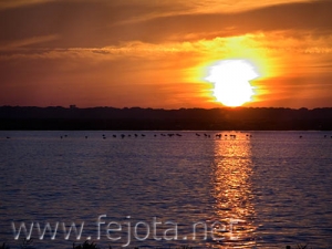 Nombre del archivo=070509_066.jpg
Tamaño del archivo=69Kb
Dimensiones=500x375
Fecha añadida=04 de Noviembre de 11 070509_066.jpg