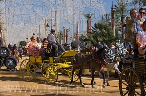 Nombre del archivo=070510_028.jpg
Tamaño del archivo=108Kb
Dimensiones=500x332
Fecha añadida=04 de Noviembre de 11 070510_028.jpg