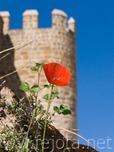 Nombre del archivo=070511_004.jpg
Tamaño del archivo=74Kb
Dimensiones=375x500
Fecha añadida=04 de Noviembre de 11 070511_004.jpg