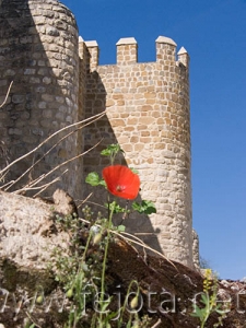 Nombre del archivo=070511_005.jpg
Tamaño del archivo=91Kb
Dimensiones=375x500
Fecha añadida=04 de Noviembre de 11 070511_005.jpg