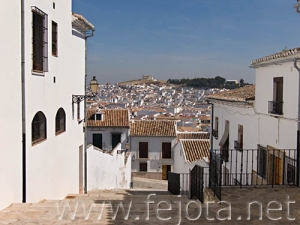 Nombre del archivo=070511_017.jpg
Tamaño del archivo=76Kb
Dimensiones=500x375
Fecha añadida=04 de Noviembre de 11 070511_017.jpg