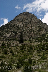 Nombre del archivo=070702_121.jpg
Tamaño del archivo=77Kb
Dimensiones=332x500
Fecha añadida=05 de Noviembre de 11 070702_121.jpg