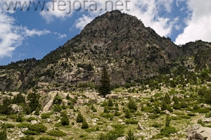 Nombre del archivo=070702_127.jpg
Tamaño del archivo=95Kb
Dimensiones=500x332
Fecha añadida=05 de Noviembre de 11 070702_127.jpg