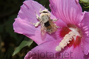 Nombre del archivo=070804_008.jpg
Tamaño del archivo=92Kb
Dimensiones=500x333
Fecha añadida=05 de Noviembre de 11 070804_008.jpg