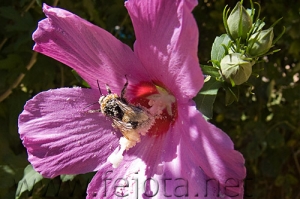 Nombre del archivo=070804_014.jpg
Tamaño del archivo=98Kb
Dimensiones=500x333
Fecha añadida=05 de Noviembre de 11 070804_014.jpg