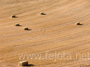 Nombre del archivo=070809_021.jpg
Tamaño del archivo=80Kb
Dimensiones=500x375
Fecha añadida=05 de Noviembre de 11 070809_021.jpg