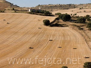 Nombre del archivo=070809_022.jpg
Tamaño del archivo=77Kb
Dimensiones=500x375
Fecha añadida=05 de Noviembre de 11 070809_022.jpg