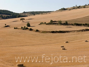 Nombre del archivo=070809_024.jpg
Tamaño del archivo=61Kb
Dimensiones=500x375
Fecha añadida=05 de Noviembre de 11 070809_024.jpg