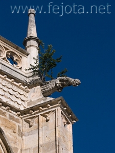 Nombre del archivo=070810_005.jpg
Tamaño del archivo=86Kb
Dimensiones=375x500
Fecha añadida=05 de Noviembre de 11 070810_005.jpg