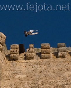 Nombre del archivo=070812_019.jpg
Tamaño del archivo=72Kb
Dimensiones=405x500
Fecha añadida=05 de Noviembre de 11 070812_019.jpg