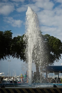 Nombre del archivo=070915_016.jpg
Tamaño del archivo=68Kb
Dimensiones=332x500
Fecha añadida=05 de Noviembre de 11 070915_016.jpg