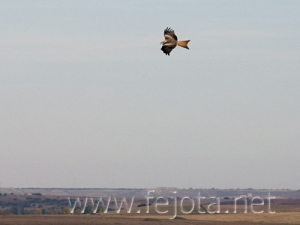 Nombre del archivo=071020_002.jpg
Tamaño del archivo=42Kb
Dimensiones=500x375
Fecha añadida=05 de Noviembre de 11 071020_002.jpg