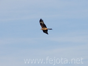 Nombre del archivo=071020_004.jpg
Tamaño del archivo=35Kb
Dimensiones=500x375
Fecha añadida=05 de Noviembre de 11 071020_004.jpg