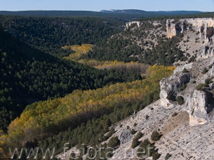 Nombre del archivo=071020_007.jpg
Tamaño del archivo=84Kb
Dimensiones=500x375
Fecha añadida=05 de Noviembre de 11 071020_007.jpg