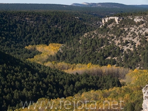 Nombre del archivo=071020_008.jpg
Tamaño del archivo=87Kb
Dimensiones=500x375
Fecha añadida=05 de Noviembre de 11 071020_008.jpg