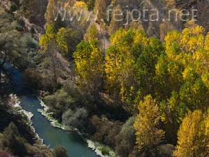 Nombre del archivo=071020_010.jpg
Tamaño del archivo=99Kb
Dimensiones=500x375
Fecha añadida=05 de Noviembre de 11 071020_010.jpg