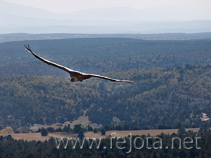 Nombre del archivo=071020_013.jpg
Tamaño del archivo=75Kb
Dimensiones=500x375
Fecha añadida=05 de Noviembre de 11 071020_013.jpg