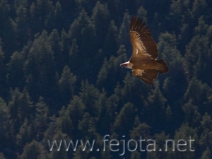 Nombre del archivo=071020_014.jpg
Tamaño del archivo=67Kb
Dimensiones=500x375
Fecha añadida=05 de Noviembre de 11 071020_014.jpg