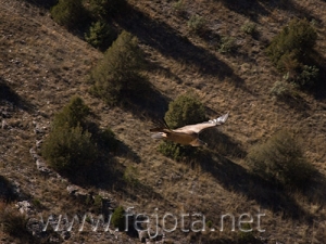 Nombre del archivo=071020_015.jpg
Tamaño del archivo=105Kb
Dimensiones=500x375
Fecha añadida=05 de Noviembre de 11 071020_015.jpg