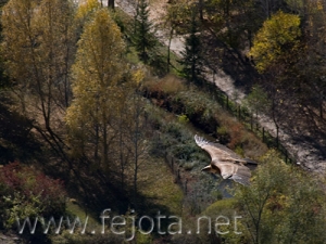 Nombre del archivo=071020_016.jpg
Tamaño del archivo=108Kb
Dimensiones=500x375
Fecha añadida=05 de Noviembre de 11 071020_016.jpg