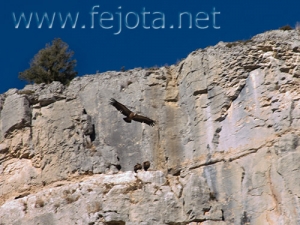 Nombre del archivo=071020_025.jpg
Tamaño del archivo=107Kb
Dimensiones=500x375
Fecha añadida=05 de Noviembre de 11 071020_025.jpg