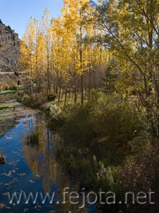 Nombre del archivo=071020_030.jpg
Tamaño del archivo=97Kb
Dimensiones=375x500
Fecha añadida=05 de Noviembre de 11 071020_030.jpg