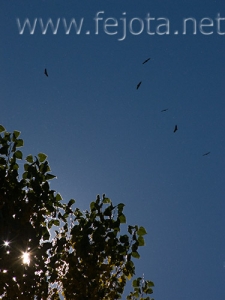 Nombre del archivo=071020_042.jpg
Tamaño del archivo=70Kb
Dimensiones=375x500
Fecha añadida=05 de Noviembre de 11 071020_042.jpg