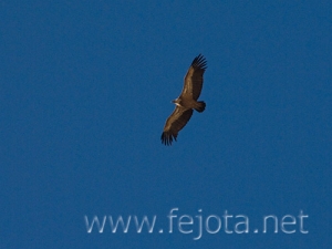 Nombre del archivo=071020_045.jpg
Tamaño del archivo=54Kb
Dimensiones=500x375
Fecha añadida=05 de Noviembre de 11 071020_045.jpg