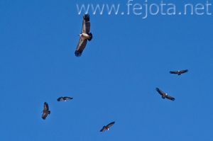 Nombre del archivo=071215_008.jpg
Tamaño del archivo=40Kb
Dimensiones=500x333
Fecha añadida=05 de Noviembre de 11 071215_008.jpg