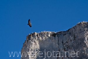 Nombre del archivo=071215_014.jpg
Tamaño del archivo=67Kb
Dimensiones=500x333
Fecha añadida=05 de Noviembre de 11 071215_014.jpg