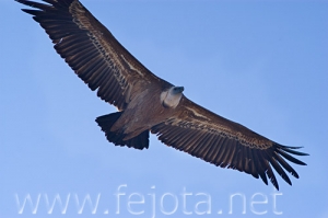 Nombre del archivo=071215_035.jpg
Tamaño del archivo=55Kb
Dimensiones=500x332
Fecha añadida=05 de Noviembre de 11 071215_035.jpg