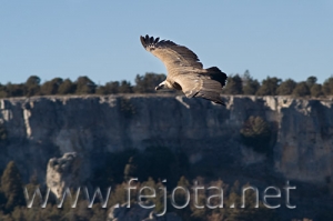 Nombre del archivo=071215_037.jpg
Tamaño del archivo=58Kb
Dimensiones=500x333
Fecha añadida=05 de Noviembre de 11 071215_037.jpg