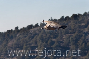 Nombre del archivo=071215_038.jpg
Tamaño del archivo=56Kb
Dimensiones=500x333
Fecha añadida=05 de Noviembre de 11 071215_038.jpg