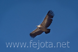 Nombre del archivo=071215_046.jpg
Tamaño del archivo=40Kb
Dimensiones=500x333
Fecha añadida=05 de Noviembre de 11 071215_046.jpg