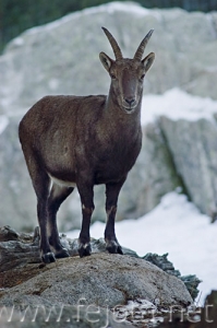 Nombre del archivo=071228__016.jpg
Tamaño del archivo=65Kb
Dimensiones=332x500
Fecha añadida=05 de Noviembre de 11 071228__016.jpg