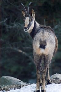 Nombre del archivo=071228__023.jpg
Tamaño del archivo=59Kb
Dimensiones=332x500
Fecha añadida=05 de Noviembre de 11 071228__023.jpg