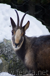 Nombre del archivo=071228__099.jpg
Tamaño del archivo=61Kb
Dimensiones=333x500
Fecha añadida=05 de Noviembre de 11 071228__099.jpg