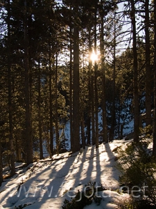 Nombre del archivo=071228__104.jpg
Tamaño del archivo=123Kb
Dimensiones=375x500
Fecha añadida=05 de Noviembre de 11 071228__104.jpg