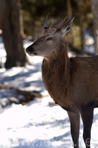 Nombre del archivo=071231_010.jpg
Tamaño del archivo=56Kb
Dimensiones=332x500
Fecha añadida=14 de Noviembre de 11 071231_010.jpg