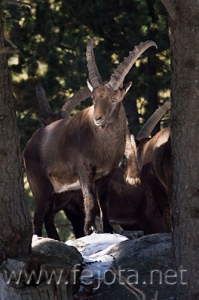 Nombre del archivo=071231_033.jpg
Tamaño del archivo=71Kb
Dimensiones=333x500
Fecha añadida=14 de Noviembre de 11 071231_033.jpg