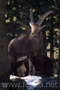 Nombre del archivo=071231_035.jpg
Tamaño del archivo=64Kb
Dimensiones=333x500
Fecha añadida=14 de Noviembre de 11 071231_035.jpg