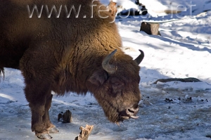 Nombre del archivo=071231_134.jpg
Tamaño del archivo=77Kb
Dimensiones=500x332
Fecha añadida=14 de Noviembre de 11 071231_134.jpg