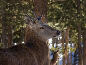 Nombre del archivo=071231_196.jpg
Tamaño del archivo=72Kb
Dimensiones=500x375
Fecha añadida=14 de Noviembre de 11 071231_196.jpg