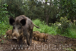 Nombre del archivo=080512__044.jpg
Tamaño del archivo=96Kb
Dimensiones=500x333
Fecha añadida=14 de Noviembre de 11 080512__044.jpg